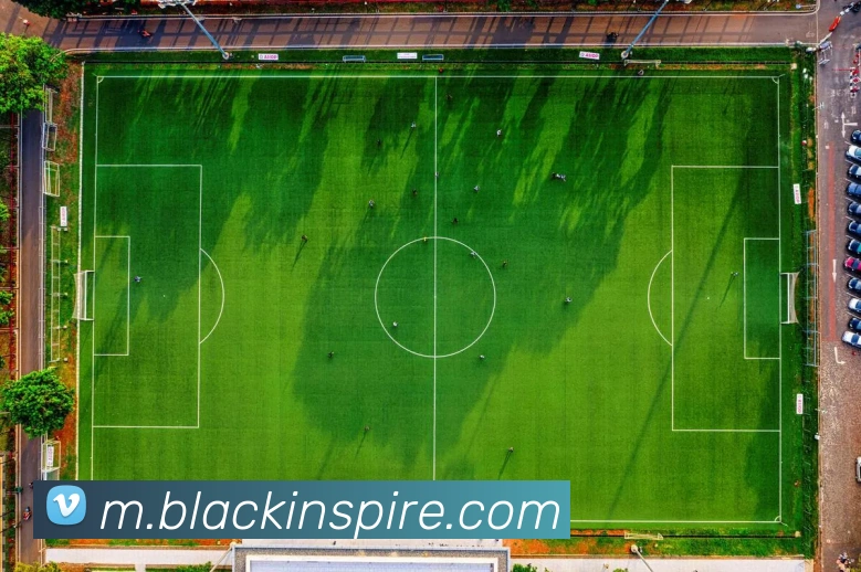 数据分析功能
